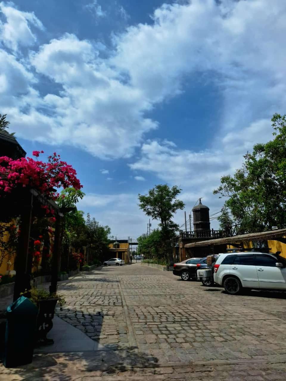 Hotel & Hacienda El Carmelo イカ エクステリア 写真